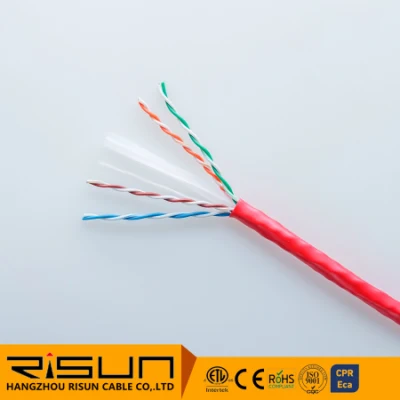 Cavo di rete ad alte prestazioni UTP CAT6