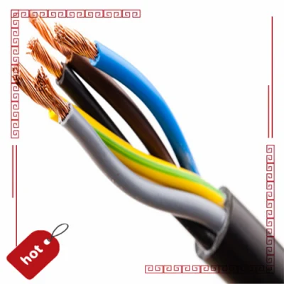 0,75 mm 1 mm 1.5mm 2.5mm 4 mm 6 mm schermatura a treccia flessibile Guaina in PVC isolato in rame cavi elettrici di potenza schermati Cavo di comando