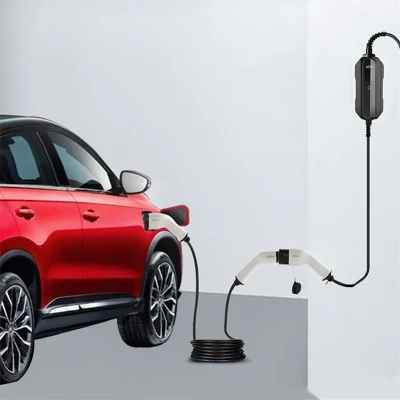 Spirale per connettori maschio personalizzata da tipo 1 a tipo 2 ad alta conducibilità CAVO di ricarica EV per veicoli elettrici portatili monofase DA 16 A per Alimentazione
