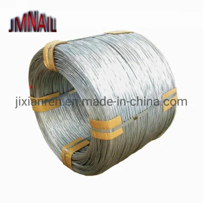 Filo di acciaio galvanizzato elettrico da 0,6 mm