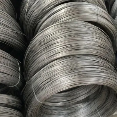 Filo in acciaio galvanizzato Electro Gi con rivestimento a caldo MS con AISI 1008 1006 0,3mm 2mm 4mm 6.5mm ASTM 6 8 9 10 12 14 18 20 indicatore in filo metallico barrato elettrico Cavo per staffa