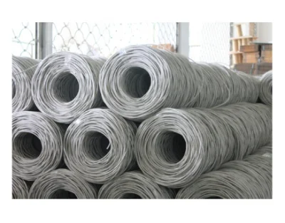 Migliore qualità Prezzo competitivo 305m 8 core 4 coppie CAT6 Cat 6 Prezzo cavo di rete per esterni