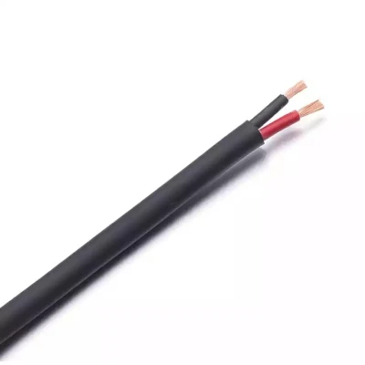 Audio OFC Speak Wire pure Copper Stereo Audio 2 Core Cavo dell&prime;altoparlante