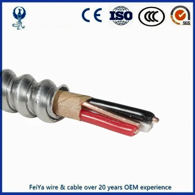 Filo da costruzione canadese da 600 V, 14/2 12/2 14/3 AWG, rame puro Cavo Bx filo armato AC90 in alluminio intrecciato