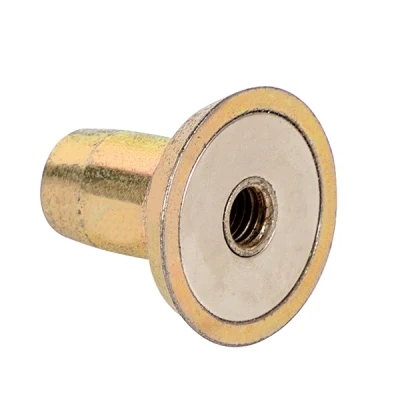 Dispositivo di fissaggio magnetico per ancoraggio per erezione