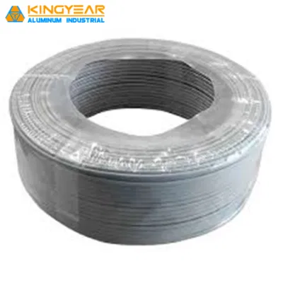 All&prime;ingrosso guaina isolante in PVC con conduttore in rame BV/BVV a bassa tensione elettrica Filo elettrico