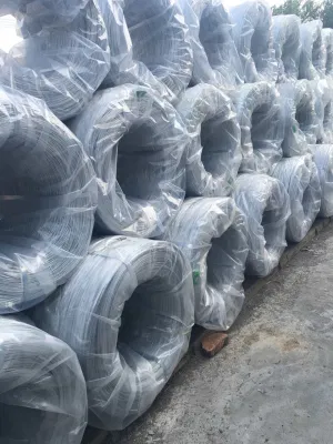 Maglia di filo di qualità migliore usata 10 Kg confezionata zincata elettrica Filo