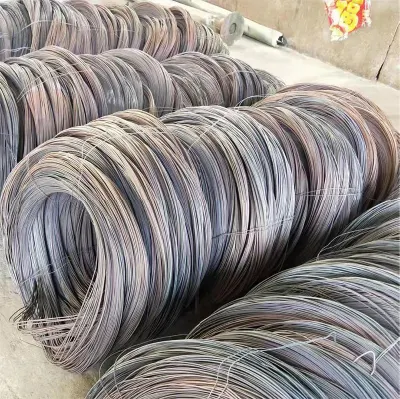 Etichetta privata all&prime;ingrosso 5.5 mm 304 316 3 mm inox Molla in acciaio zincata e barra metallica elettrica