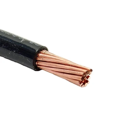 Cavo THHN/Thwn/Thw/Tw 12/2 14/2 10/2 8/2 6/2 BV Thw Estandard 8 12 10 filo elettrico 14 AWG con elencato