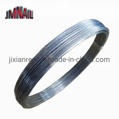 Filo di acciaio galvanizzato elettrico da 0,6 mm