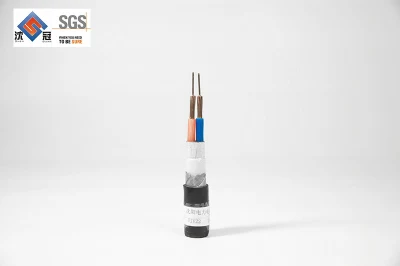 Fili elettrici Shenguan IEC conduttore in rame standard isolato in PVC/XLPE 150/28 Cavo nudo ASTM cavo di alimentazione in fibra di carbonio per uso automobilistico Composito