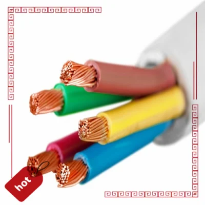 0,75 mm 1 mm 1.5mm 2.5mm 4 mm 6 mm schermatura a treccia flessibile Guaina in PVC isolato in rame cavi elettrici di potenza schermati Cavo di comando