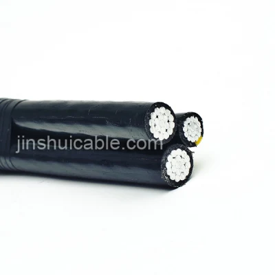 Cavo antenna da 120 Volt per caduta di servizio duplex, standard americano