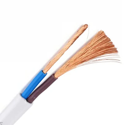 Cavo elettrico a 2 conduttori RVV 300/500V 2*0.75 2*1.0 2*1.5 rotondo Cavo di alimentazione in PVC