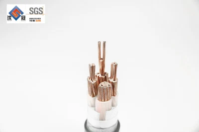 Cavo elettrico Shanguan House 2.5 Sq mm 6 mm Prezzo cavo elettrico a conduttore singolo da 6 mq. 16mm Cavo di alimentazione
