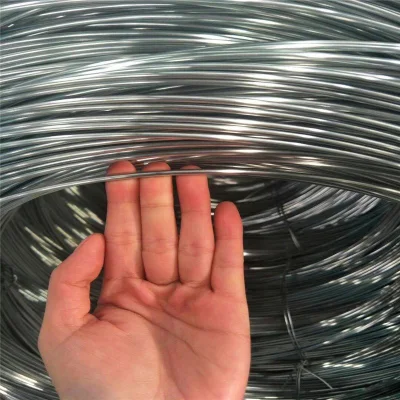 25 Kg filo legante Gi BWG 18 20 21 22 Filo di ferro galvanizzato elettrico