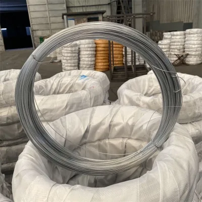 25 Kg filo legante Gi BWG 18 20 21 22 Filo di ferro galvanizzato elettrico