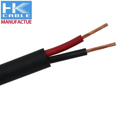 Produzione professionale in fabbrica OFC pure Copper 2 nuclei Flat AWG Manicotto a Y del cavo dell&prime;altoparlante