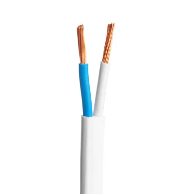 Filo elettrico 300 300V flessibile da 2,5 mm RVV BV per la vendita a caldo Cavo RVV a 3 conduttori