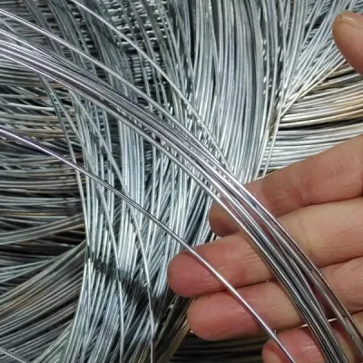 Cavi di controllo di alta qualità acciaio inox filo acciaio zincato a fune Filo 1*19 7*7 filo interno cavo freno CD70 con pressofusione