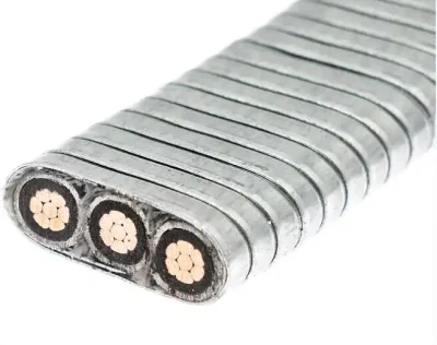 Cavo di alimentazione da 2 AWG per cavo ESP per pompa elettrica sommersa Armatura
