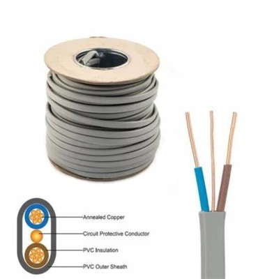 Cavo piatto doppio BS6004 con cavo elettrico di terra 6242y 2,5 mm