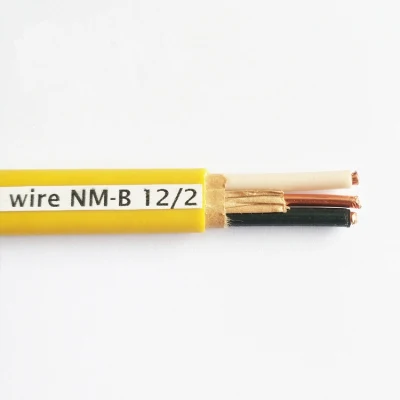 PVC solido 14/2 10/2 14/3 12/3 10/3 8/3 6/3 12/2 Filo NMB WG 100 giallo DA 100 PIEDI