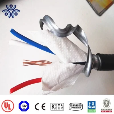 Cavo di alimentazione Mc Xhw blindato in lega di alluminio con blocco interno 600 V. Alluminio in rame da 12/3 12/4 8/3 6/3 2/0 4/0 250 AWG Cavo conduttore