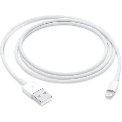 Cavi telefonici A1480 cavi da illuminazione a USB da 1 m (MD818) cavi di fabbrica Prezzo cavo di illuminazione cavo di ricarica USB