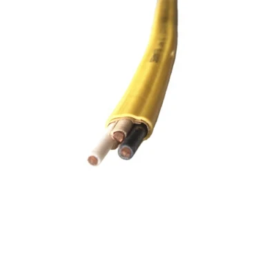 PVC solido 14/2 10/2 14/3 12/3 10/3 8/3 6/3 12/2 Filo NMB WG 100 giallo DA 100 PIEDI