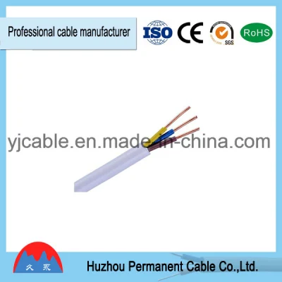 Guaina piatta in PVC 1.5/2.5/4mm in rame isolato a 3 nuclei BVVB PVC Cavo elettrico
