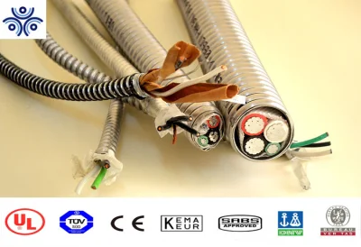 Cavo di alimentazione Mc Xhw blindato in lega di alluminio con blocco interno 600 V. Alluminio in rame da 12/3 12/4 8/3 6/3 2/0 4/0 250 AWG Cavo conduttore