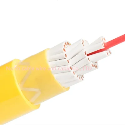 1.5mm 2.5mm 4mm 6mm 10mm PVC edificio multicolore Casa Cavo elettrico