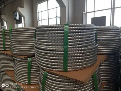12/2 cavo UL1569 Mc/Bx con conduttore THHN A8000 interbloccato Armored Rivestimento metallico rivestito in filo da 600 V