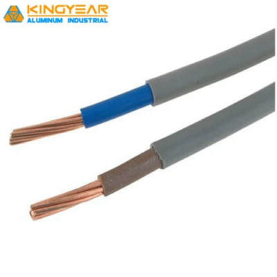 Kuwait 2.5mm Duplex Rvv2 1.0 Uganda Myanmar Electric Cavo di alimentazione HiFi a filo