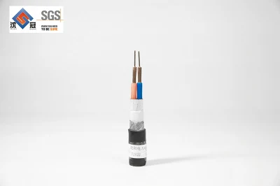 Fili elettrici Shenguan IEC conduttore in rame standard isolato in PVC/XLPE 150/28 Cavo nudo ASTM cavo di alimentazione in fibra di carbonio per uso automobilistico Composito