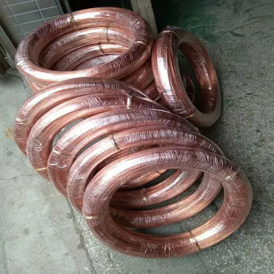 Filo di rame con diametro personalizzato di 0,65 mm con vendita a caldo