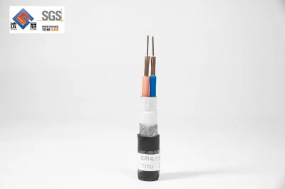 Fili elettrici Shenguan IEC conduttore in rame standard isolato in PVC/XLPE 150/28 Cavo nudo ASTM cavo di alimentazione in fibra di carbonio per uso automobilistico Composito