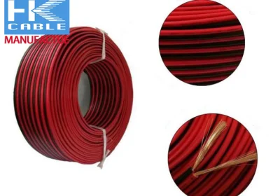 Produzione professionale in fabbrica OFC pure Copper 2 nuclei Flat AWG Manicotto a Y del cavo dell&prime;altoparlante