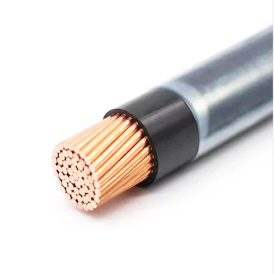 Cavo in nylon THHN/Thwn filo elettrico 8 mm 25 mm 30 mm Filo da costruzione