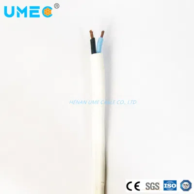 Collegamenti cavo 300/300V 2 conduttori 2X2,5/4/6mm2 Rvvb H03VVH2-F piatto PVC flessibile Cavo elettrico in rame