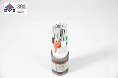 Cavo sottomarino cavo in rame puro cavo di alimentazione in rame AAC/AAAC/AAAC/ACSR cavo sottomarino HiFi DIY AC 3 nuclei XLPE 15mm con schermatura OFC da 14,26 mm Shenguan Hi-end, isolato XLPE, Awa