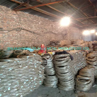 Filo di collegamento zincato da 4 kg misura 21 per il mercato Kuwait