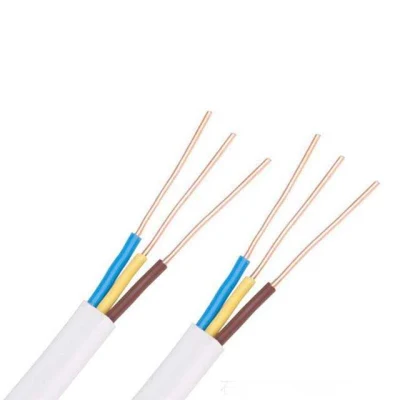 Cavo elettrico piatto TPS/SRF a 2 conduttori 3 a 4 conduttori in rame Cavo isolato in PVC flessibile da 300 V/500 V con cavo di terra e doppio