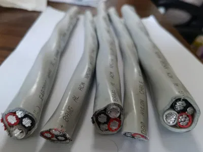 Cavo elettrico in rame cUL 14AWG-2AWG 12AWG-2AWG Canadian 6/3 a prezzo conveniente Filo Nmd90