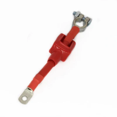 Cavo elettrico personalizzato per auto protezione ambientale Nuova energia batteria 2AWG Cavi di prolunga per cavi di collegamento cavo per batteria auto serie parallela