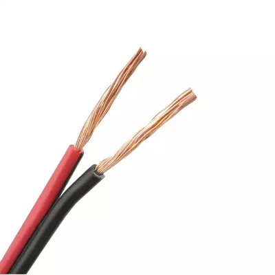 Audio OFC Speak Wire pure Copper Stereo Audio 2 Core Cavo dell&prime;altoparlante