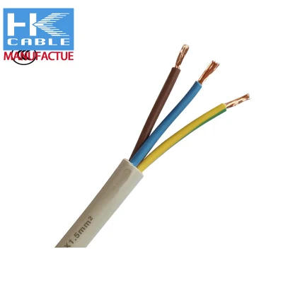 Cavi elettrici 2,5 mm 6mm PVC THHN BV RVV Thw smaltati Cavi in rame 2.5 10 mm trifase Cabo De Cobre Fornisce 2,5 mm2