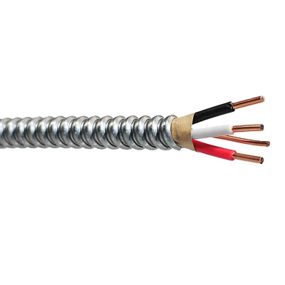 Approvazione cUL per cavo Canada AC90 da 600 V 12/2AWG