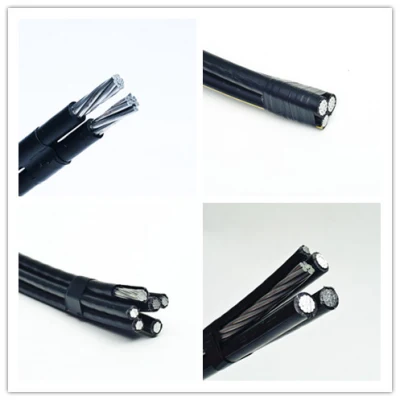 Cavo antenna da 120 Volt per caduta di servizio duplex, standard americano